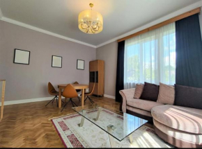 Vydunas apartment